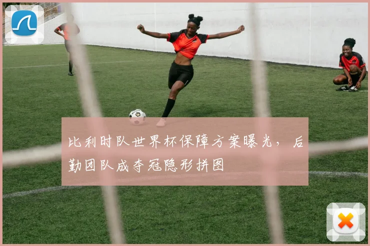 比利时队世界杯保障方案曝光，后勤团队成夺冠隐形拼图