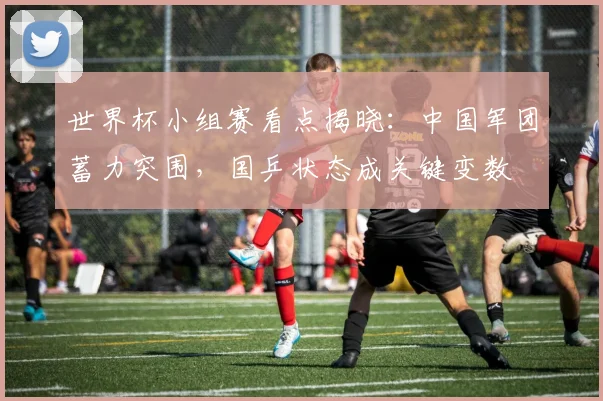 世界杯小组赛看点揭晓：中国军团蓄力突围，国乒状态成关键变数