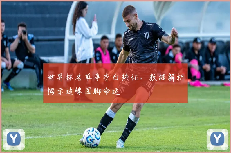 世界杯名单争夺白热化，数据解析揭示边缘国脚命运
