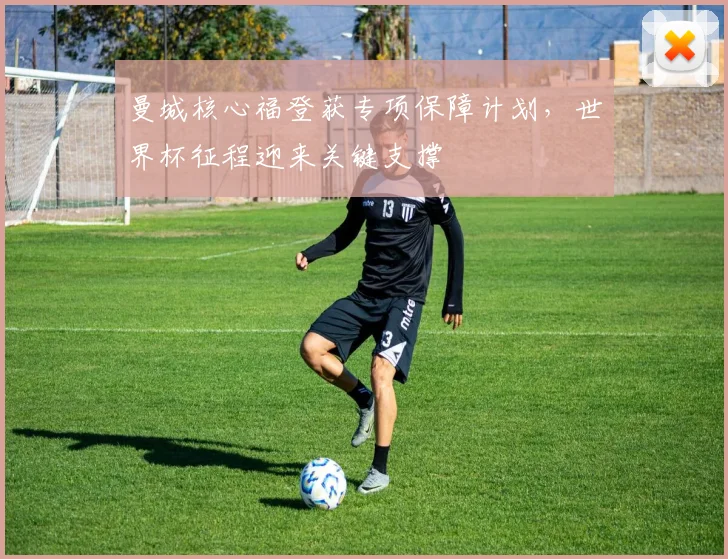 曼城核心福登获专项保障计划，世界杯征程迎来关键支撑
