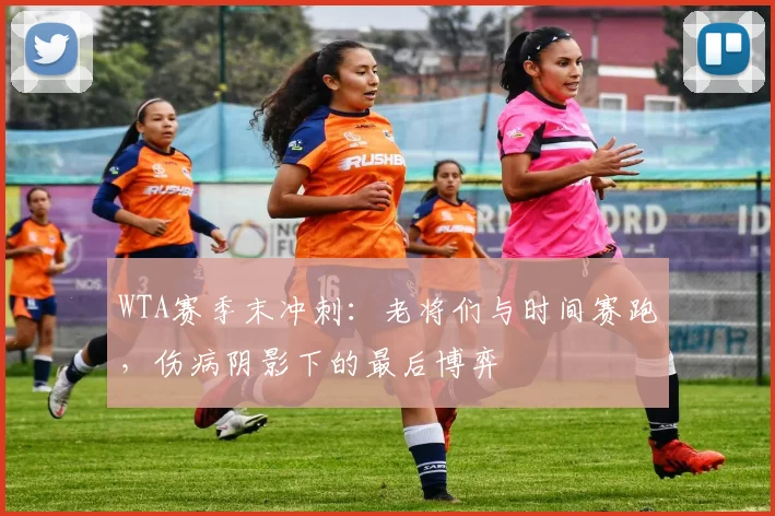 WTA赛季末冲刺：老将们与时间赛跑，伤病阴影下的最后博弈