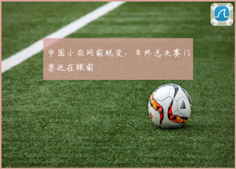 中国小花网前蜕变，年终总决赛门票近在眼前