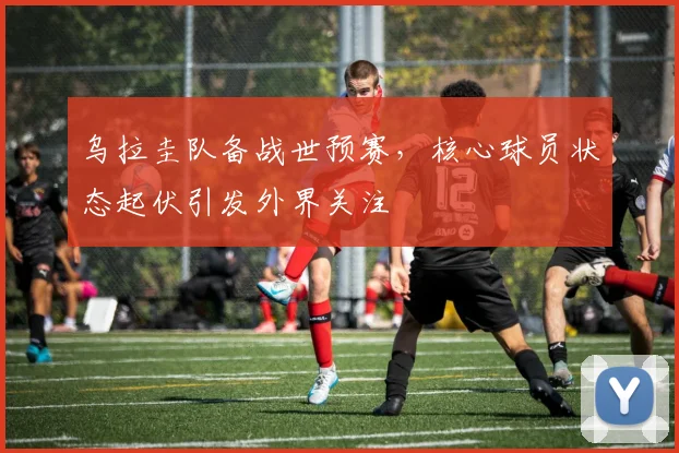 乌拉圭队备战世预赛，核心球员状态起伏引发外界关注