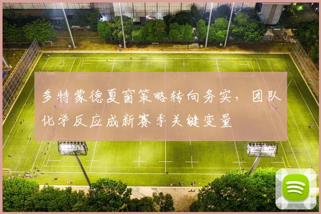 多特蒙德夏窗策略转向务实，团队化学反应成新赛季关键变量
