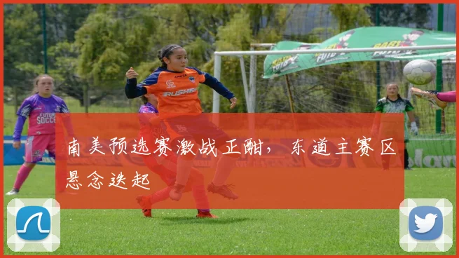 南美预选赛激战正酣，东道主赛区悬念迭起