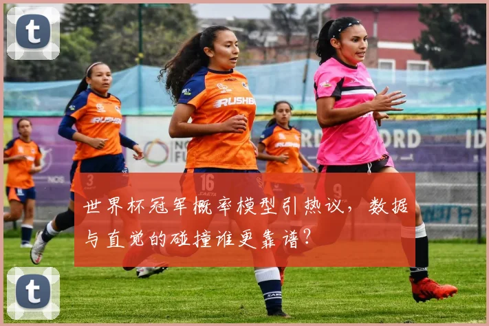 世界杯冠军概率模型引热议，数据与直觉的碰撞谁更靠谱？