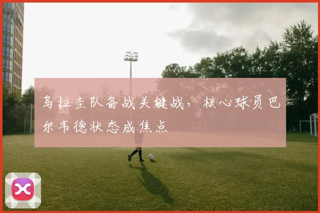 乌拉圭队备战关键战，核心球员巴尔韦德状态成焦点