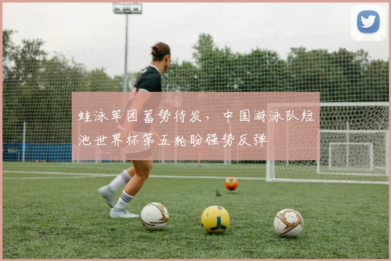 蛙泳军团蓄势待发，中国游泳队短池世界杯第五轮盼强势反弹